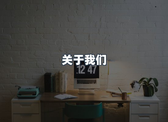 专业团队